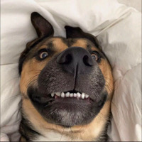 武汉市单身技术经理Yang~个人资料照片