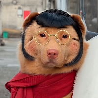 兰州市单身外科医生the tree.个人资料照片