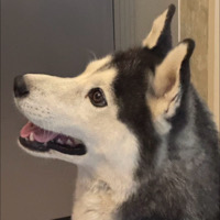 北京市单身游戏策划安个人资料照片