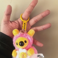 长春市单身外卖员南极猫个人资料照片