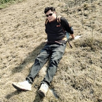 重庆市单身基金经理大树个人资料照片