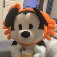 南京市单身教师天心月圆个人资料照片