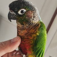 青岛市单身办公室多喝热水个人资料照片